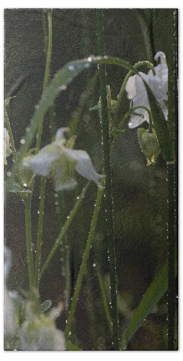 Grasses Hand Towel featuring the photograph Apres Le Deluge C'est Droplets by Richard Thomas