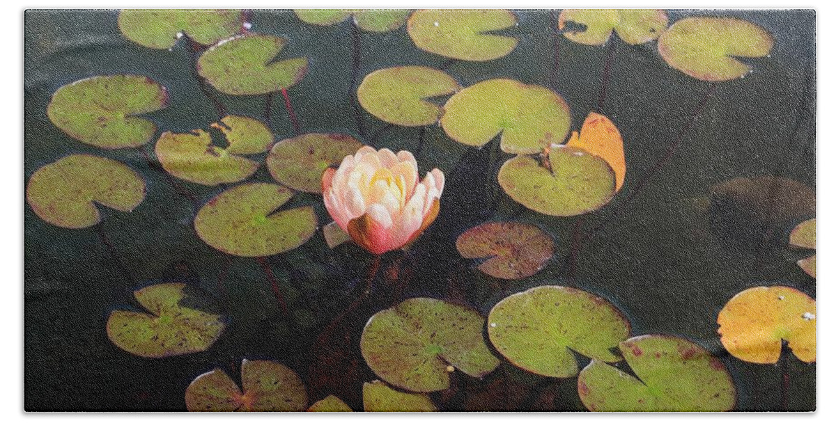 Lily Pads Bath Towel featuring the photograph Aquatic Garden with Water Lily by Michael Saunders