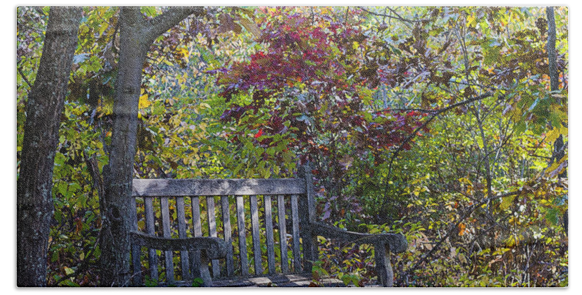 Arboretum Bath Towel featuring the photograph Arboretum bench by Steven Ralser