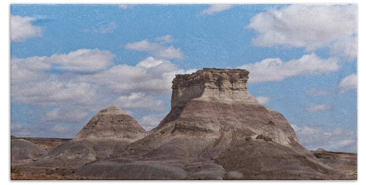 Arizona Bath Towel featuring the photograph Arizona Desert and Mesa by Jeff Goulden