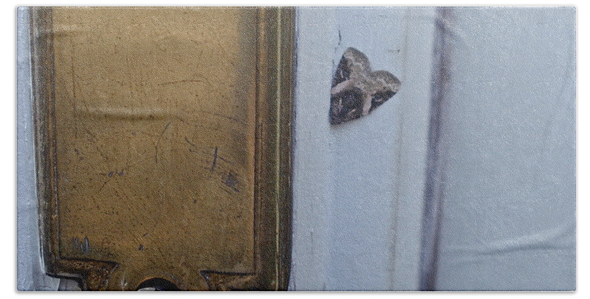 Insects Bath Towel featuring the photograph Arrowhead Doorbell Moth by Christopher Plummer