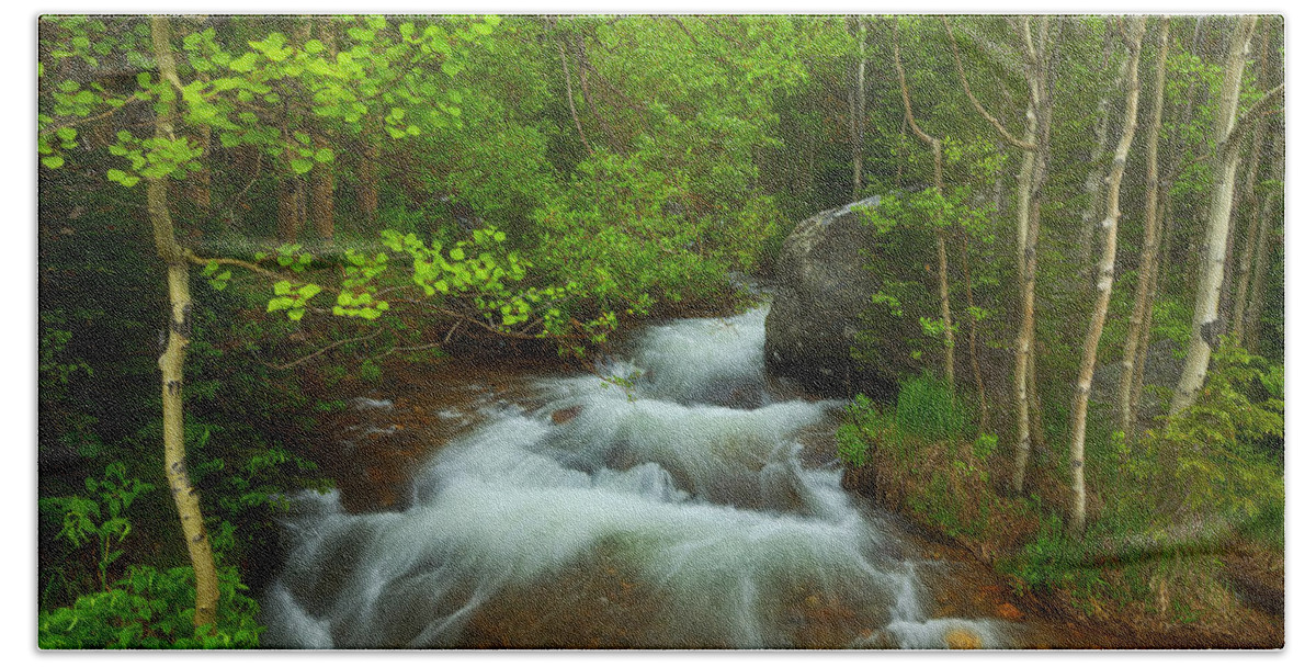 Aspen Trees Hand Towel featuring the photograph Aspen Creek by Darren White