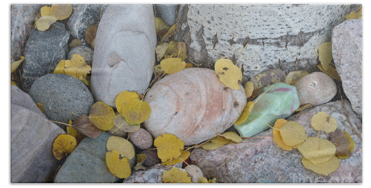 Aspen Hand Towel featuring the photograph Aspen Leaves on the Rocks by Dorrene BrownButterfield