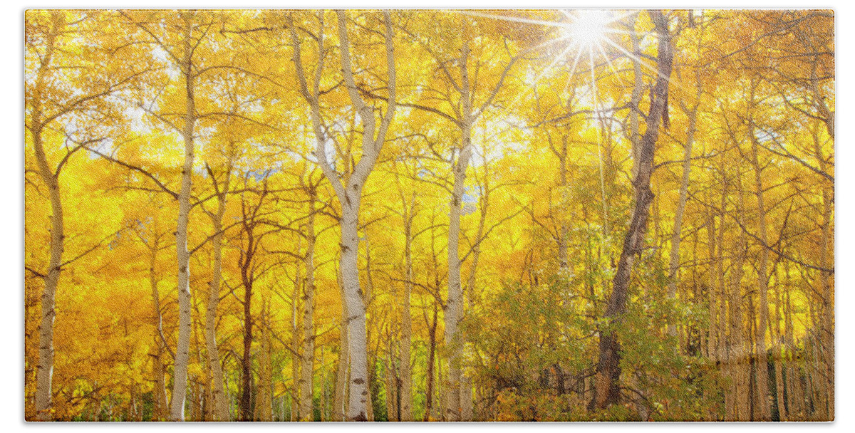 Aspens Hand Towel featuring the photograph Aspen Morning by Darren White
