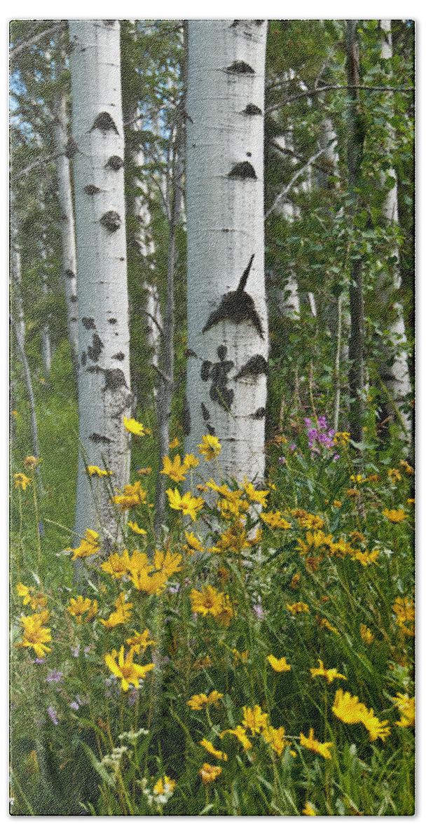 Aspen Bath Towel featuring the photograph Aspen Trees and Wildflowers by Jeff Goulden