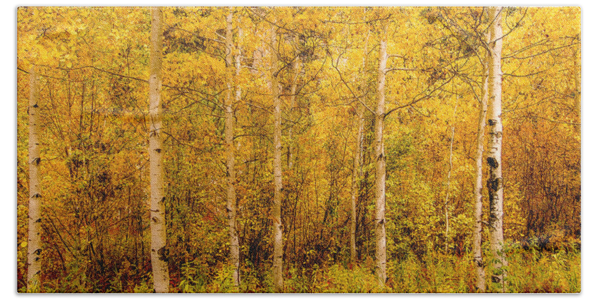 Aspen Hand Towel featuring the photograph Aspens in Autumn by Greni Graph