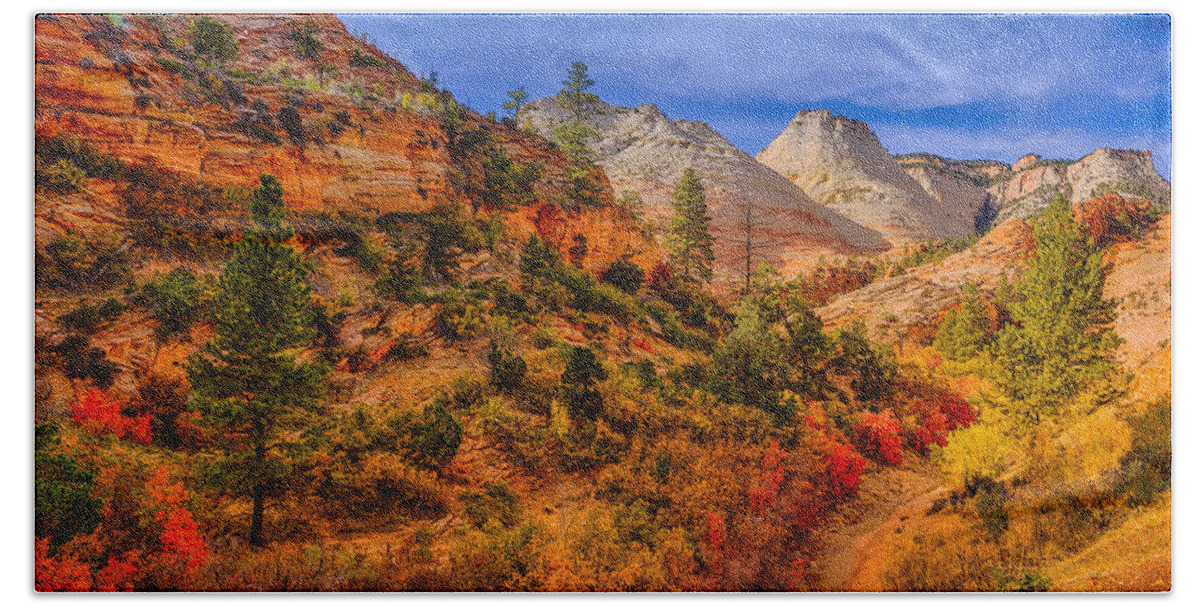Zion Bath Towel featuring the photograph Autumn Arroyo by Greg Norrell