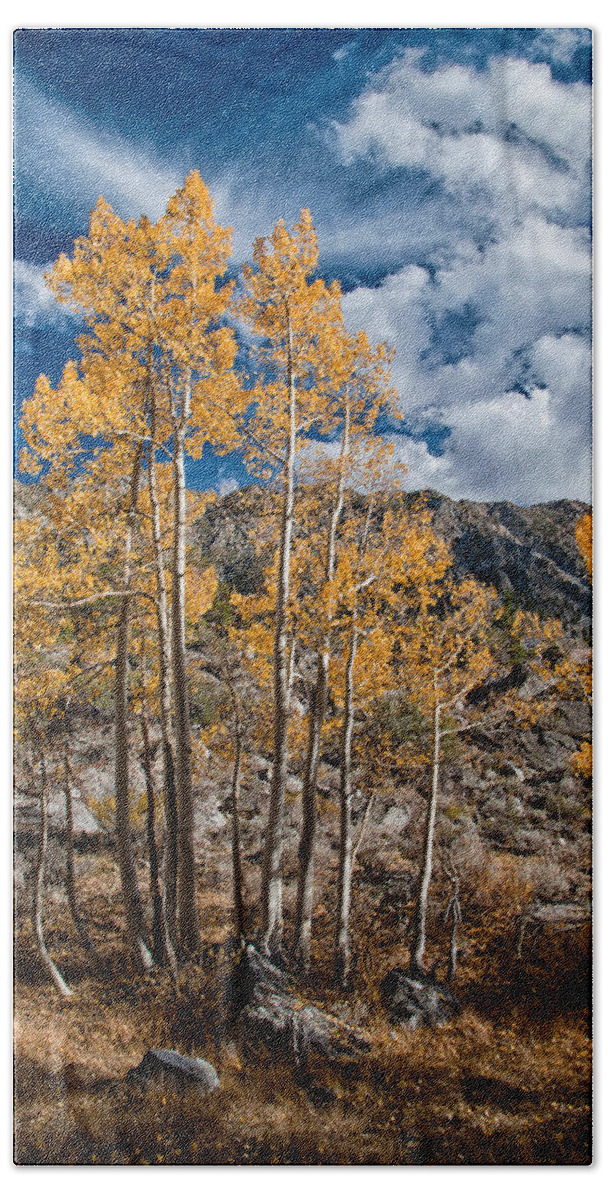 Yellow Hand Towel featuring the photograph Autumn Aspens by Cat Connor
