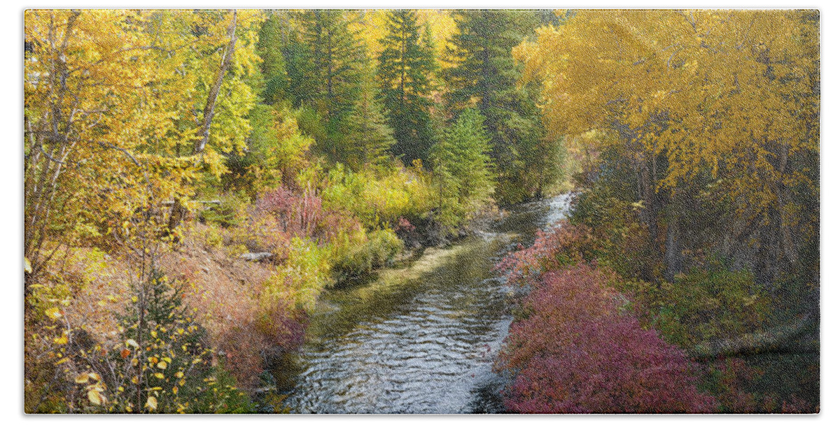 Dakota Bath Towel featuring the photograph Autumn Color Along Spearfish Creek by Greni Graph