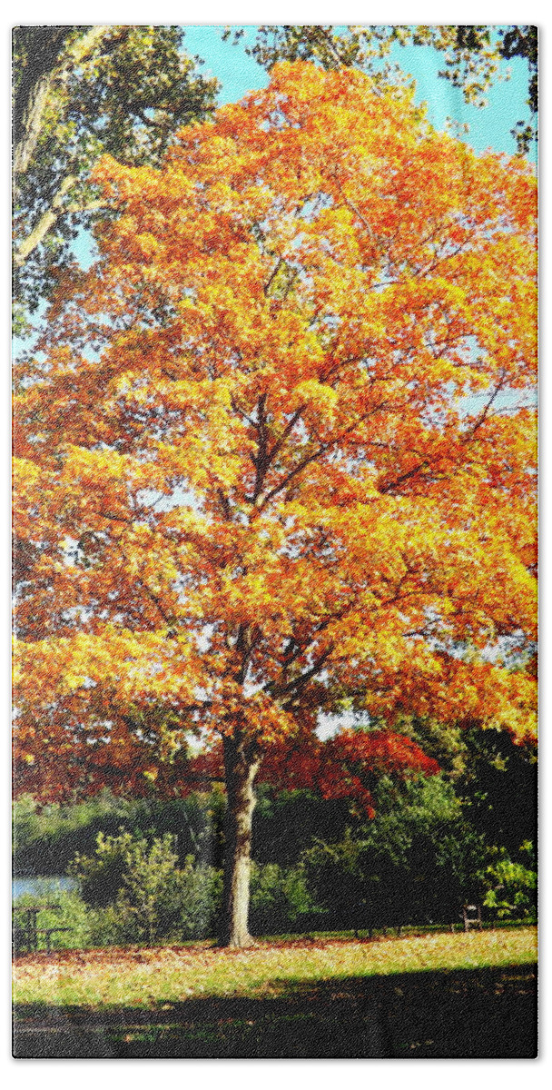 Autumn Glory Bath Towel featuring the photograph Autumn Glory by Darren Robinson