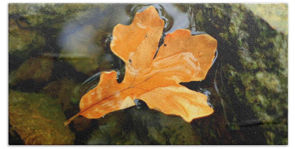 Leaf Bath Towel featuring the photograph Autumn Gold by Viviana Nadowski