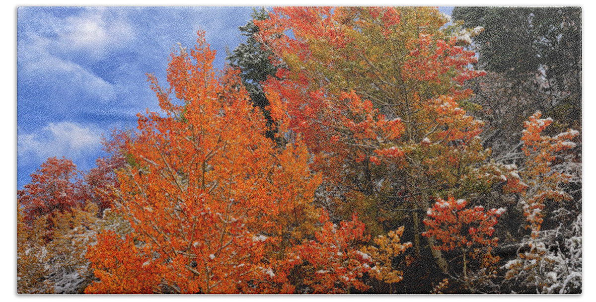 Autumn Bath Towel featuring the photograph Autumn in Idaho by Greg Norrell