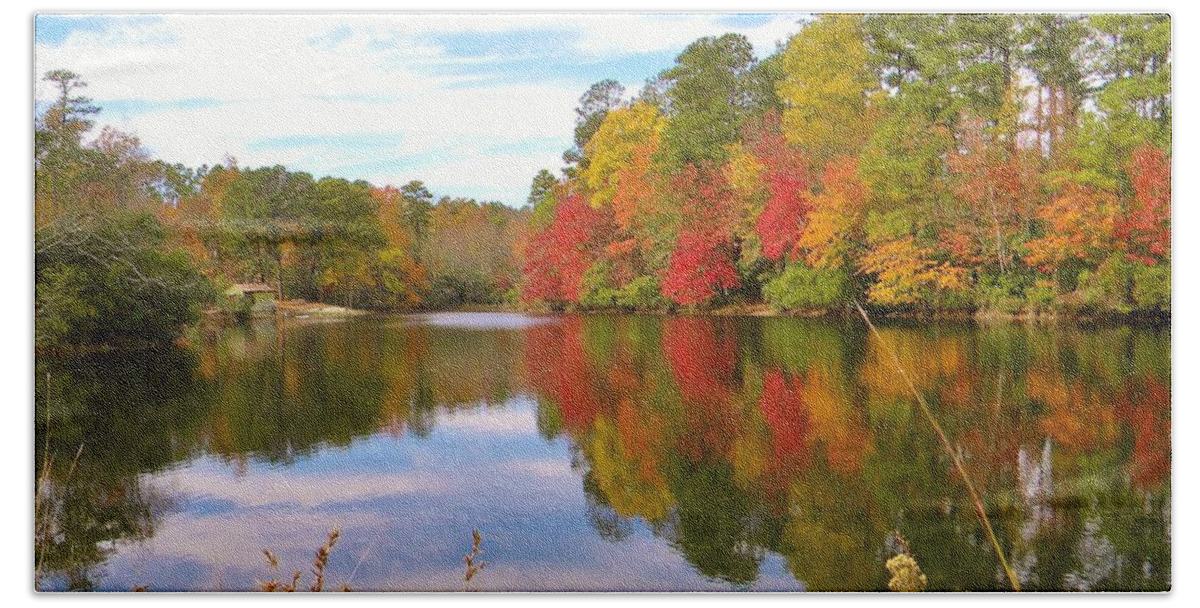 Fall Hand Towel featuring the photograph Autumn In The South by Matthew Seufer