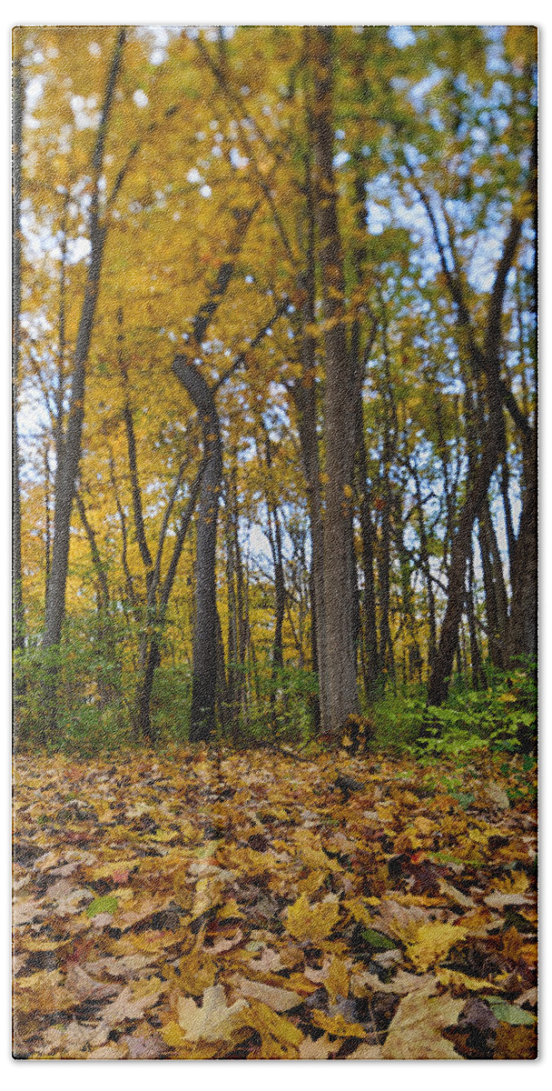 Fall Bath Towel featuring the photograph Autumn is Here by Sebastian Musial