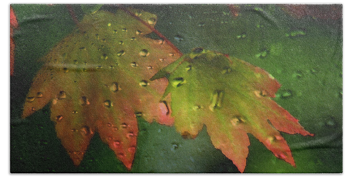 Autumn Hand Towel featuring the photograph Autumn Leaves and Rain by Marie Jamieson