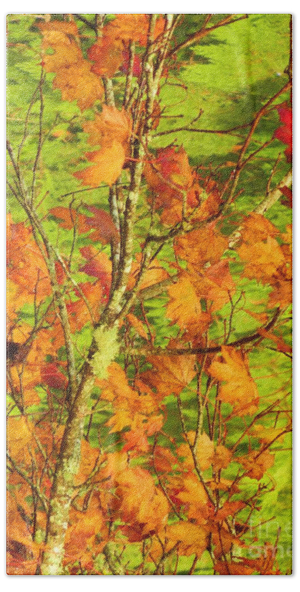 Autumn Bath Towel featuring the photograph Autumn Leaves by Gallery Of Hope 