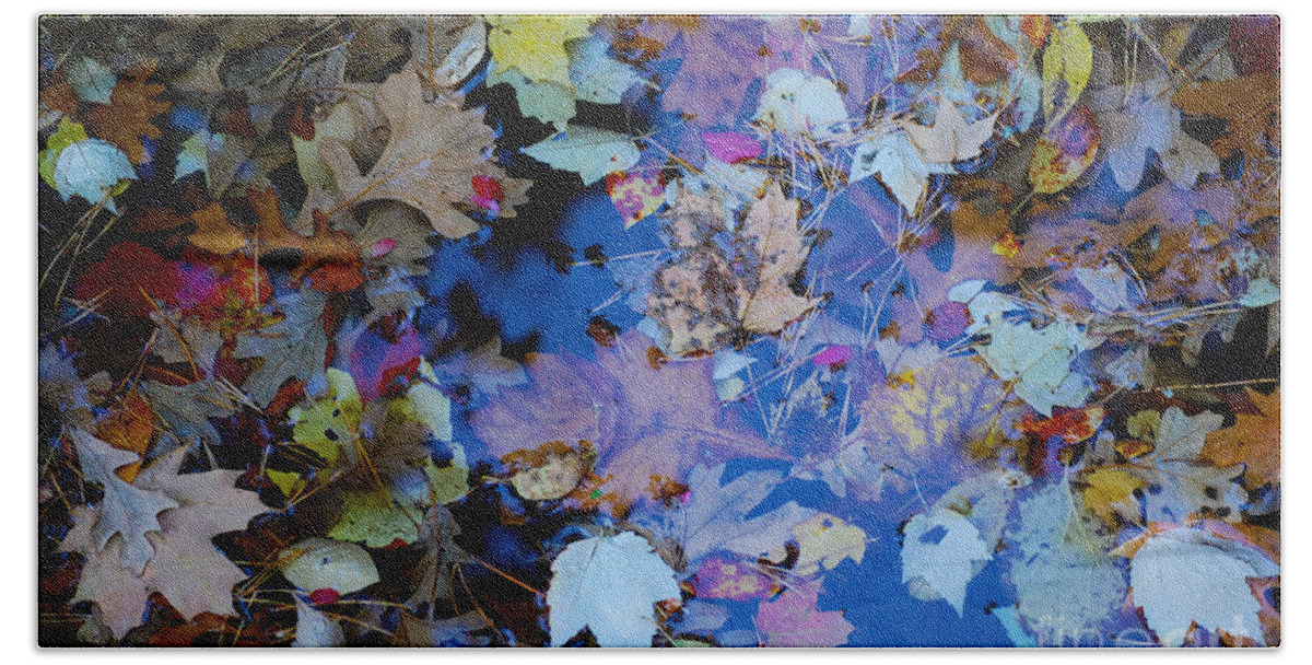 Water Hand Towel featuring the photograph Autumn Leaves in Pond 2 by Nancy Mueller