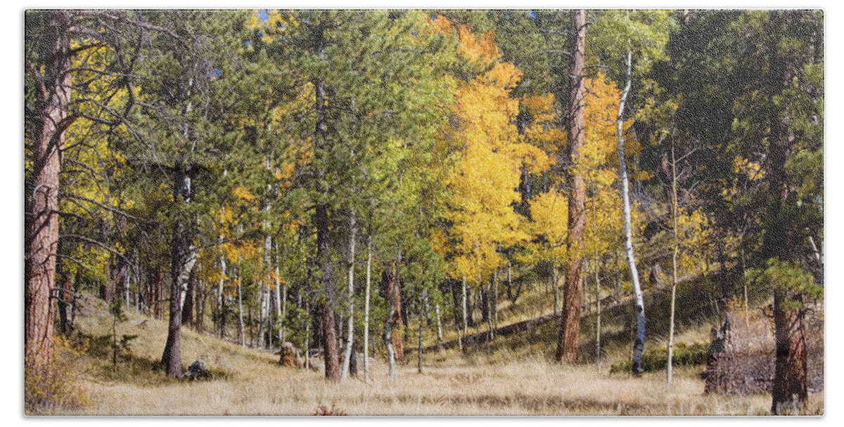 Autumn Hand Towel featuring the photograph Autumn Meadow by Steven Krull
