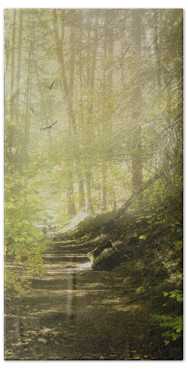 Autumn Bath Towel featuring the photograph Autumn Myst by Diane Schuster