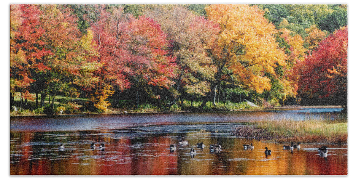 Scenic Hand Towel featuring the photograph Autumn Pond by William Selander