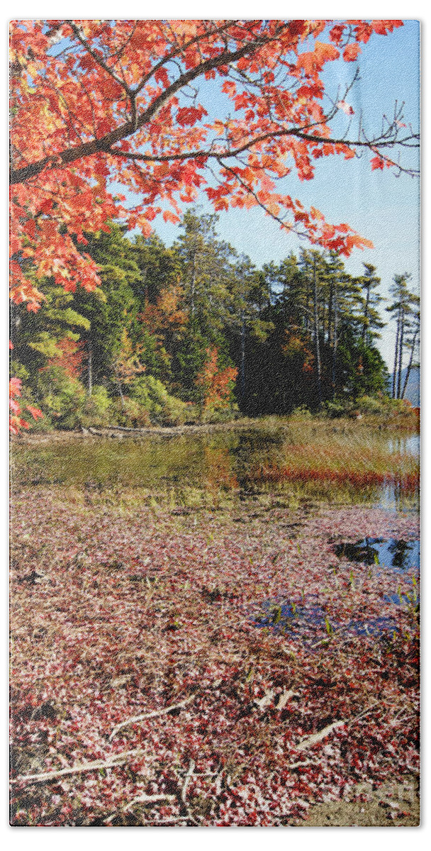 Autumn Bath Towel featuring the photograph Autumn Red at Eagle Lake by David Birchall
