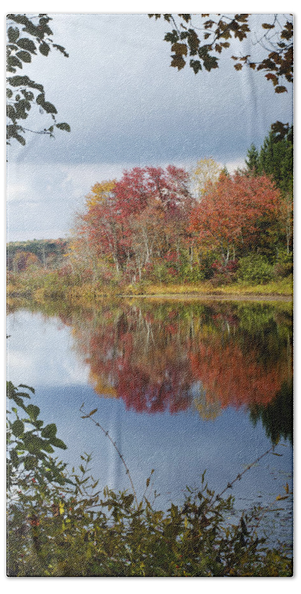 Autumn Bath Towel featuring the photograph Autumn Reflection Through The Trees by Christina Rollo