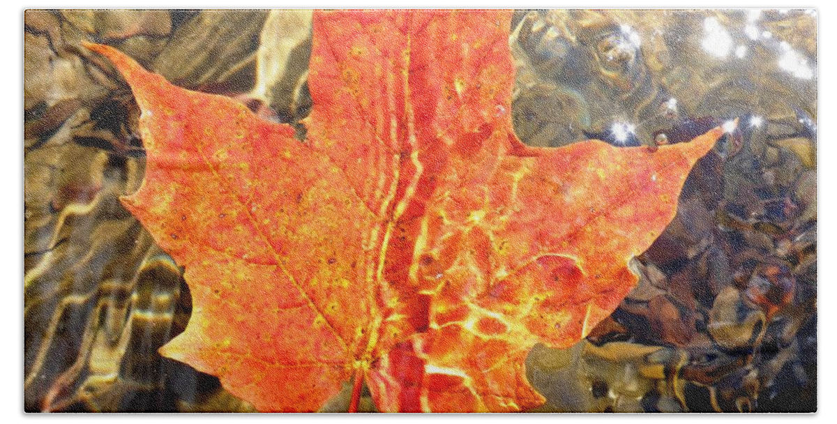 Leaf Hand Towel featuring the photograph Autumn Reflections by Cristina Stefan