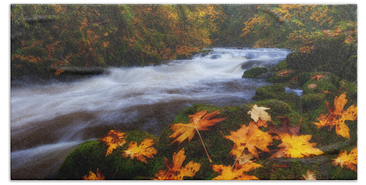 Fall Hand Towel featuring the photograph Autumn Returns by Darren White