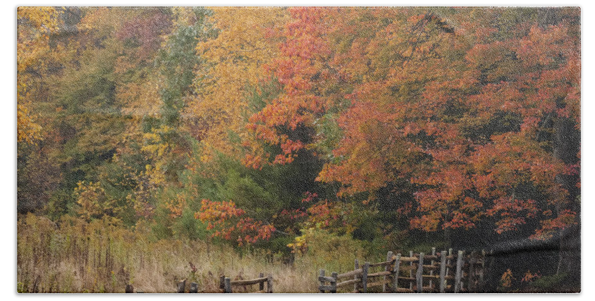 Appalacia Bath Towel featuring the photograph Autumn Trees and Fence by Jo Ann Tomaselli