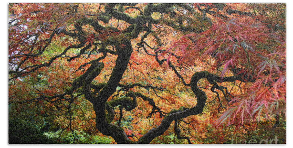 Japan Hand Towel featuring the photograph Autumn's Fire by Jean Hildebrant