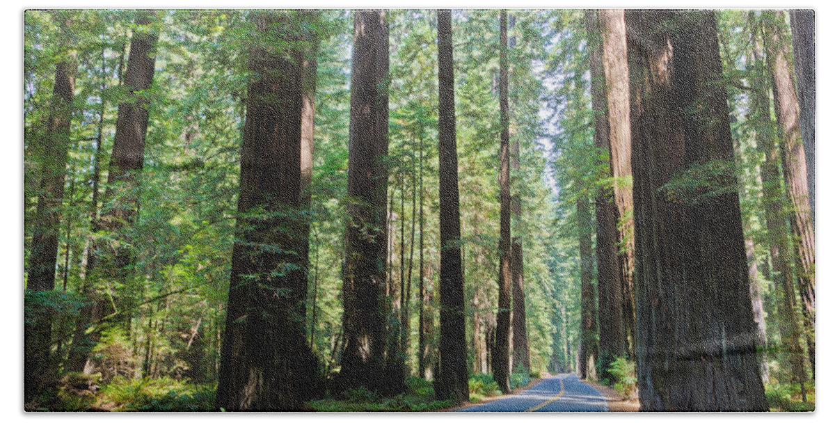 California Bath Towel featuring the photograph Avenue Of The Giants by Heidi Smith