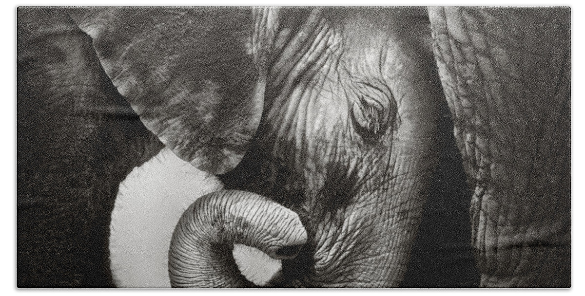 Elephant Bath Towel featuring the photograph Baby elephant seeking comfort by Johan Swanepoel