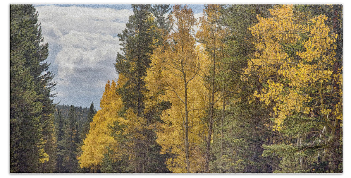 Autumn Bath Towel featuring the photograph Back Road To Autumn by James BO Insogna