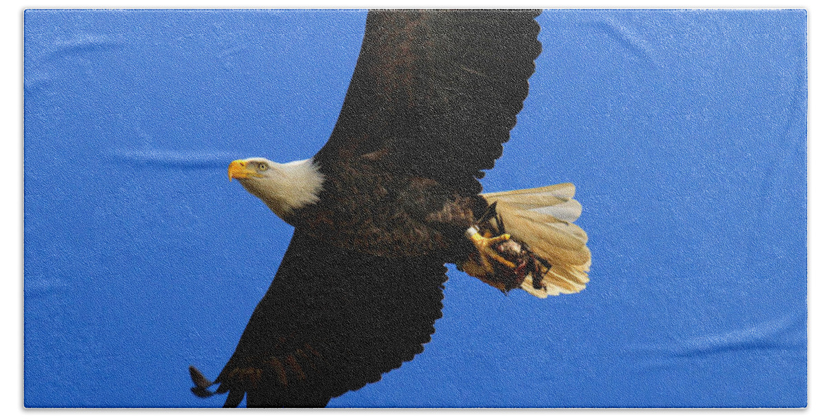 Eagle Bath Towel featuring the photograph Bald Eagle in Flight by Roger Becker