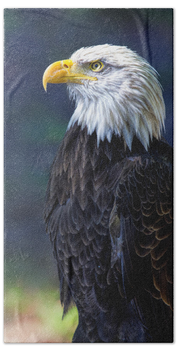Bird Hand Towel featuring the photograph Baldy On Lookout by Bill and Linda Tiepelman