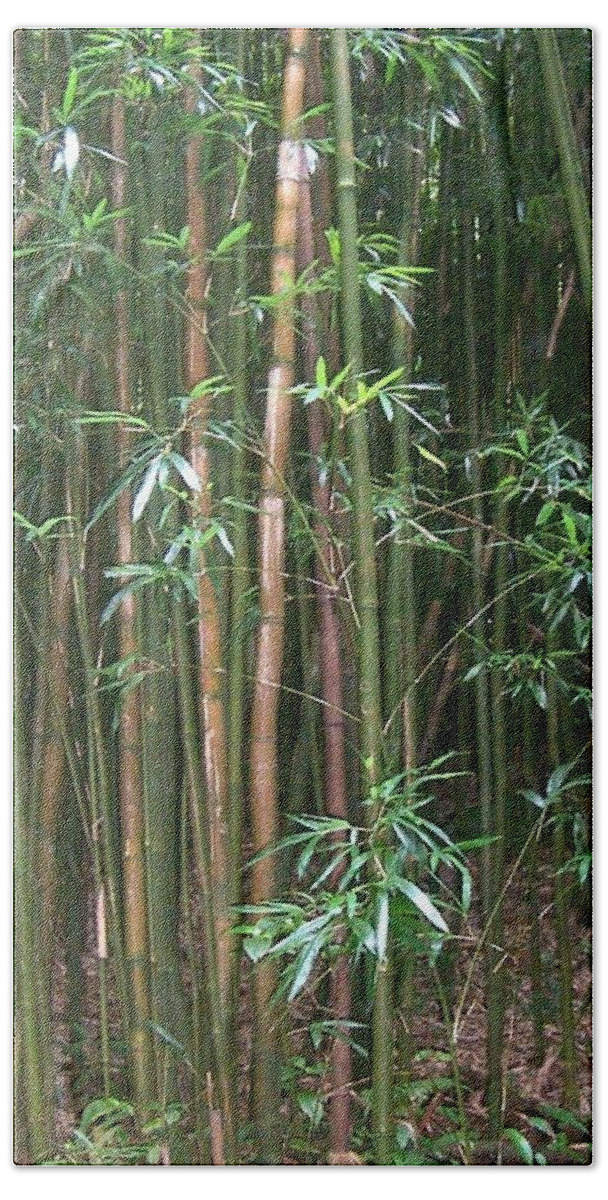  Bath Towel featuring the photograph Bamboo Forest by Cornelia DeDona