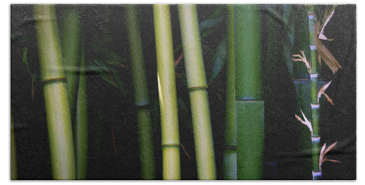 Bamboo Hand Towel featuring the photograph Bamboo Zen by Athena Mckinzie