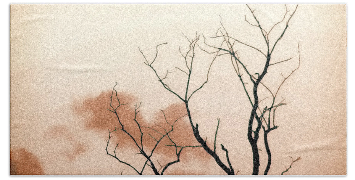 Monochrome Bath Towel featuring the photograph Bare Limbs by Denise Romano