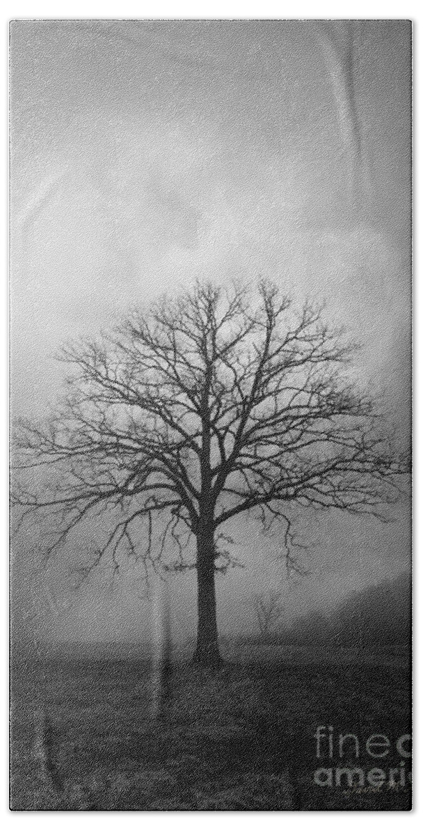 Tree Bath Towel featuring the photograph Bare Tree And Clouds BW by David Gordon