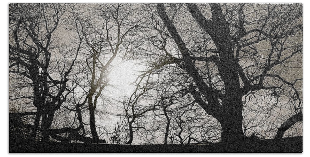Trees Hand Towel featuring the photograph Bare Trees by Ydania Ogando