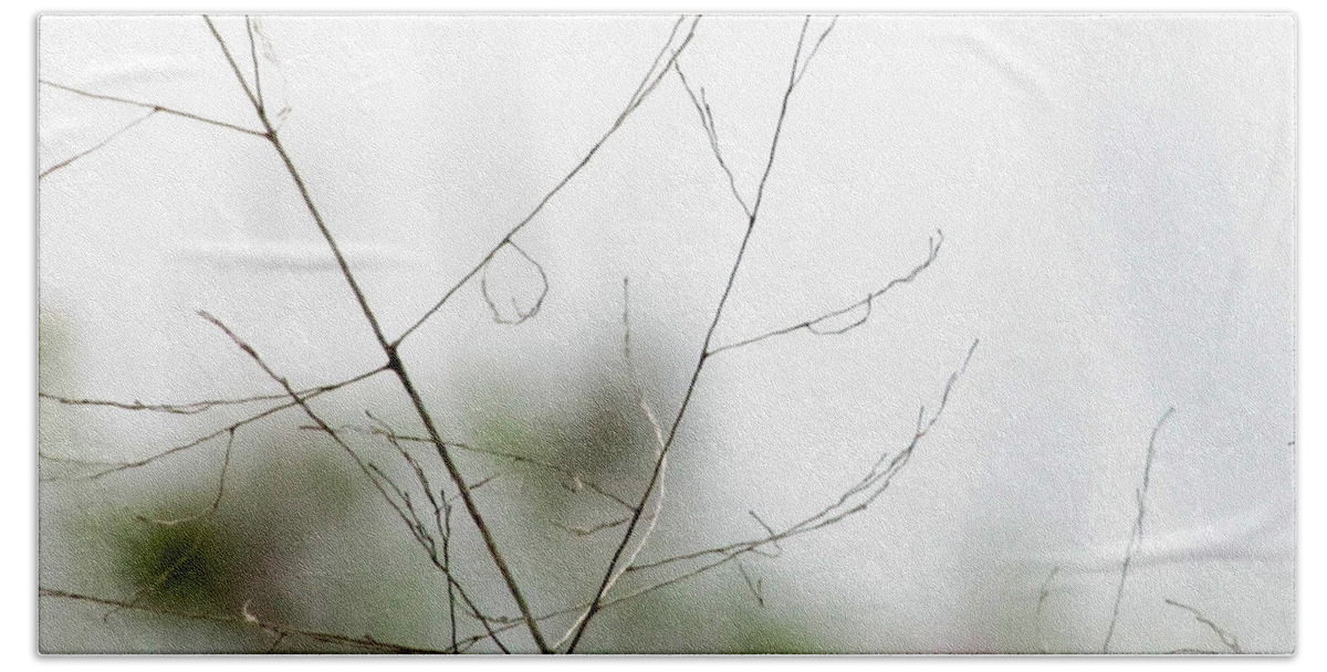 Tree Bath Towel featuring the photograph Barest Branches by Kimberly Mackowski