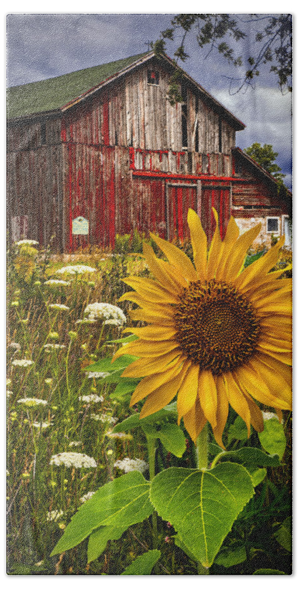 Barn Bath Sheet featuring the photograph Barn Meadow Flowers by Debra and Dave Vanderlaan