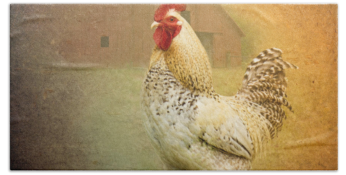 Rooster Hand Towel featuring the photograph Barnyard Boss by Betty LaRue