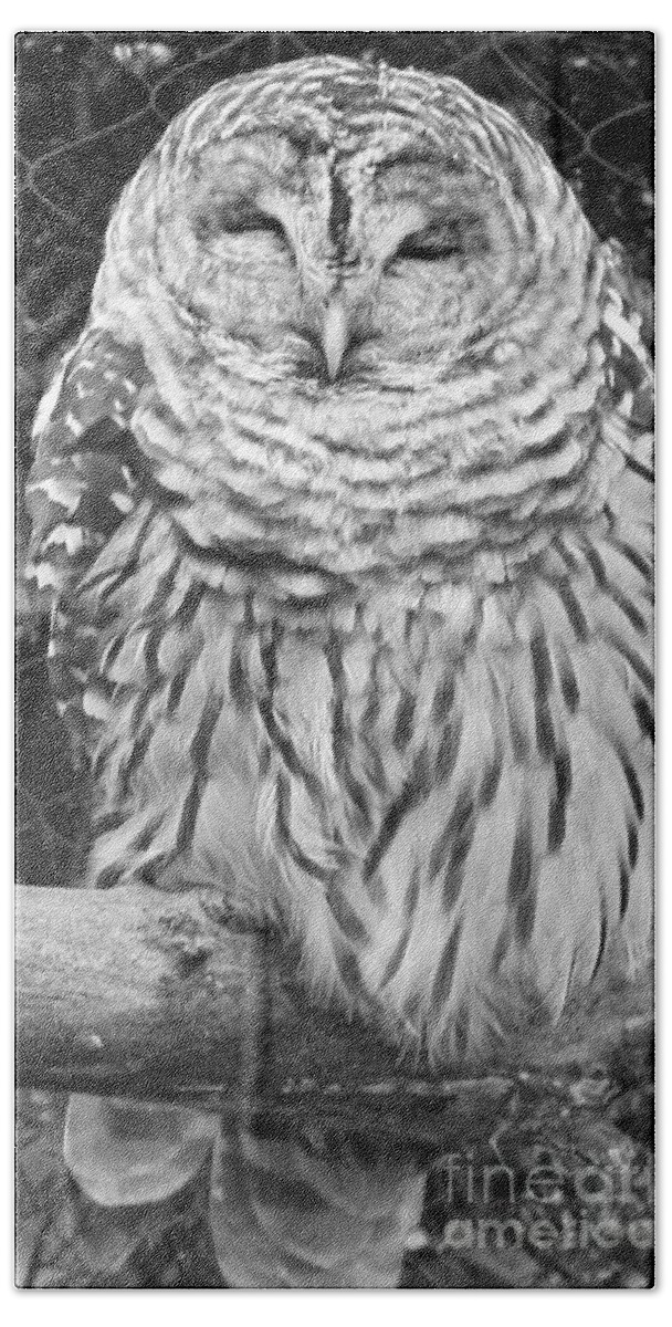 Barred Owl In Black And White Bath Towel featuring the photograph Barred Owl in Black and White by John Telfer