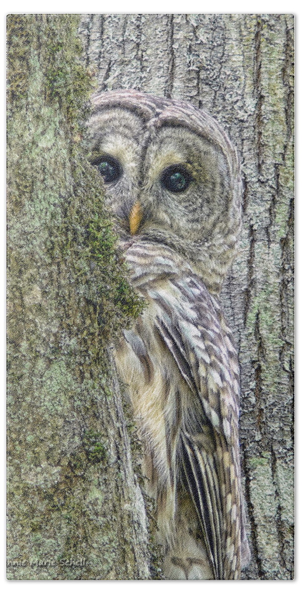 Owl Bath Sheet featuring the photograph Barred Owl Peek a Boo by Jennie Marie Schell