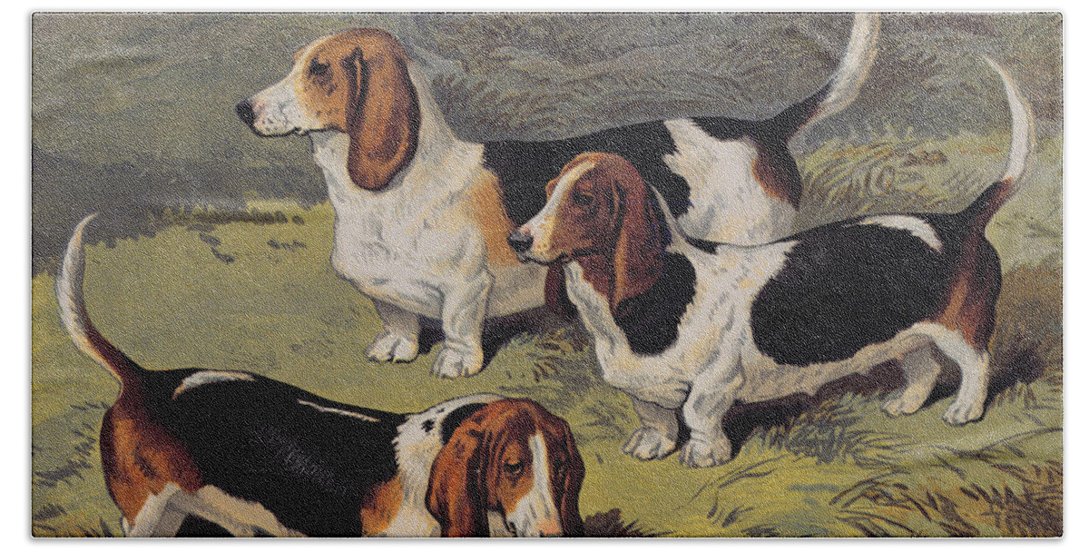 Dogs Hand Towel featuring the painting Basset Hounds by English School
