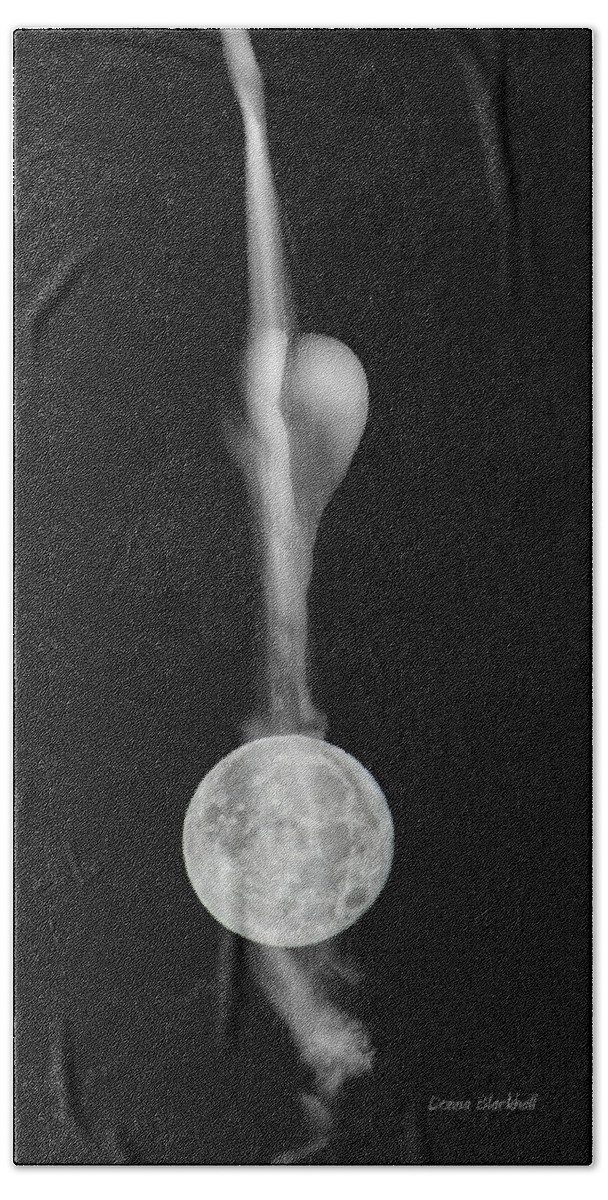 Moon Bath Sheet featuring the photograph Bathed In Moonlight by Donna Blackhall