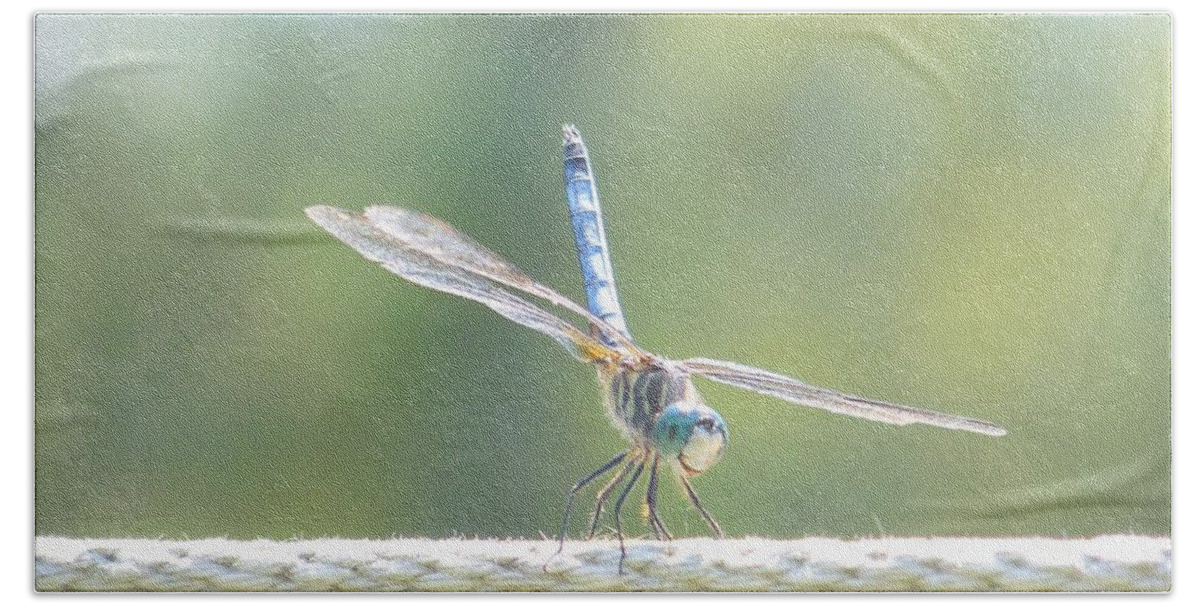 Macro Hand Towel featuring the photograph Smiling Dragonfly by Eunice Miller