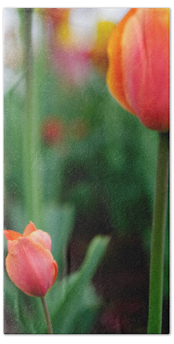 Tulip Bath Towel featuring the photograph Be Like Mom by Kathy Paynter