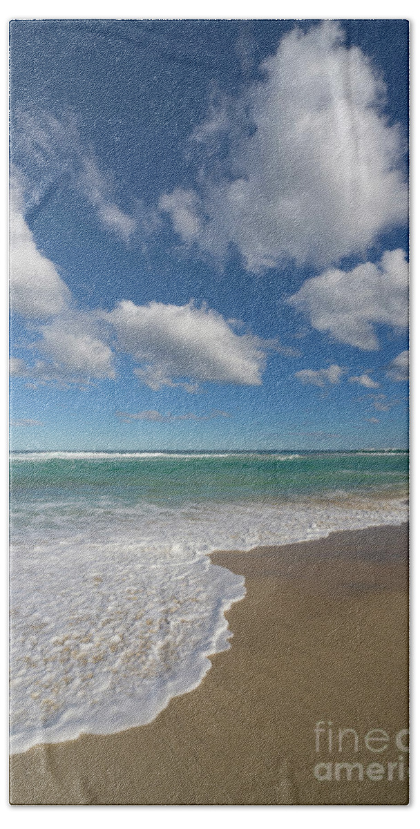 00463488 Bath Towel featuring the photograph Beach And Cumulus Clouds Western by Yva Momatiuk and John Eastcott